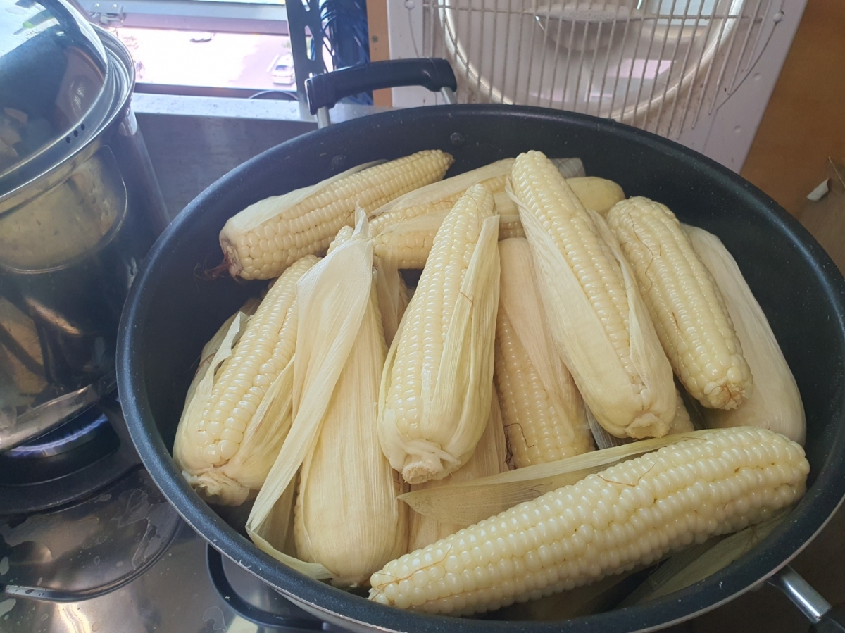 KakaoTalk_20240728_130056903_03.jpg